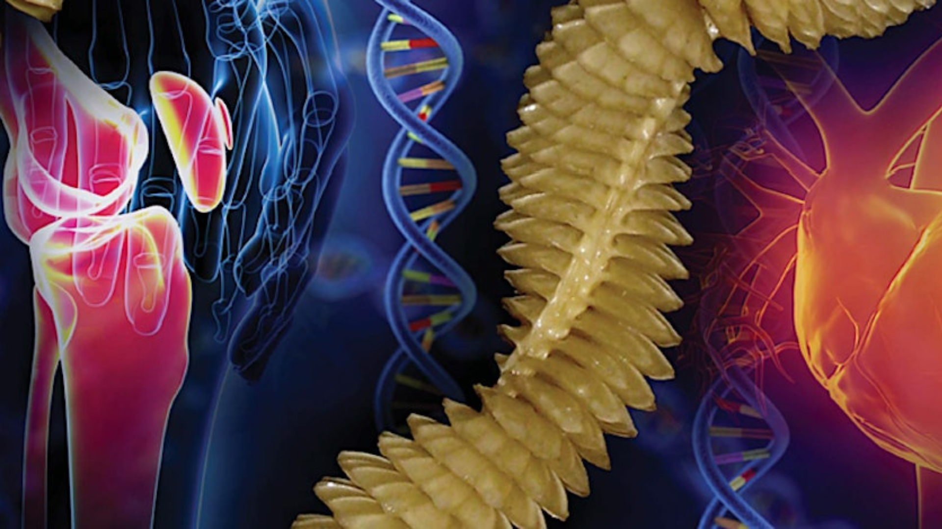 Biomimetic Event