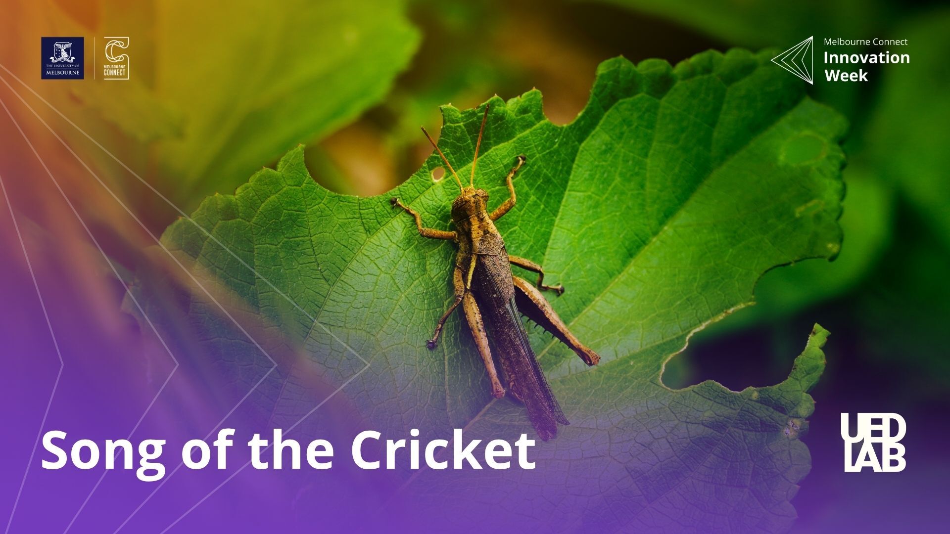 CDTH Transforming Healthcare with Innovation and AI BANNER 2