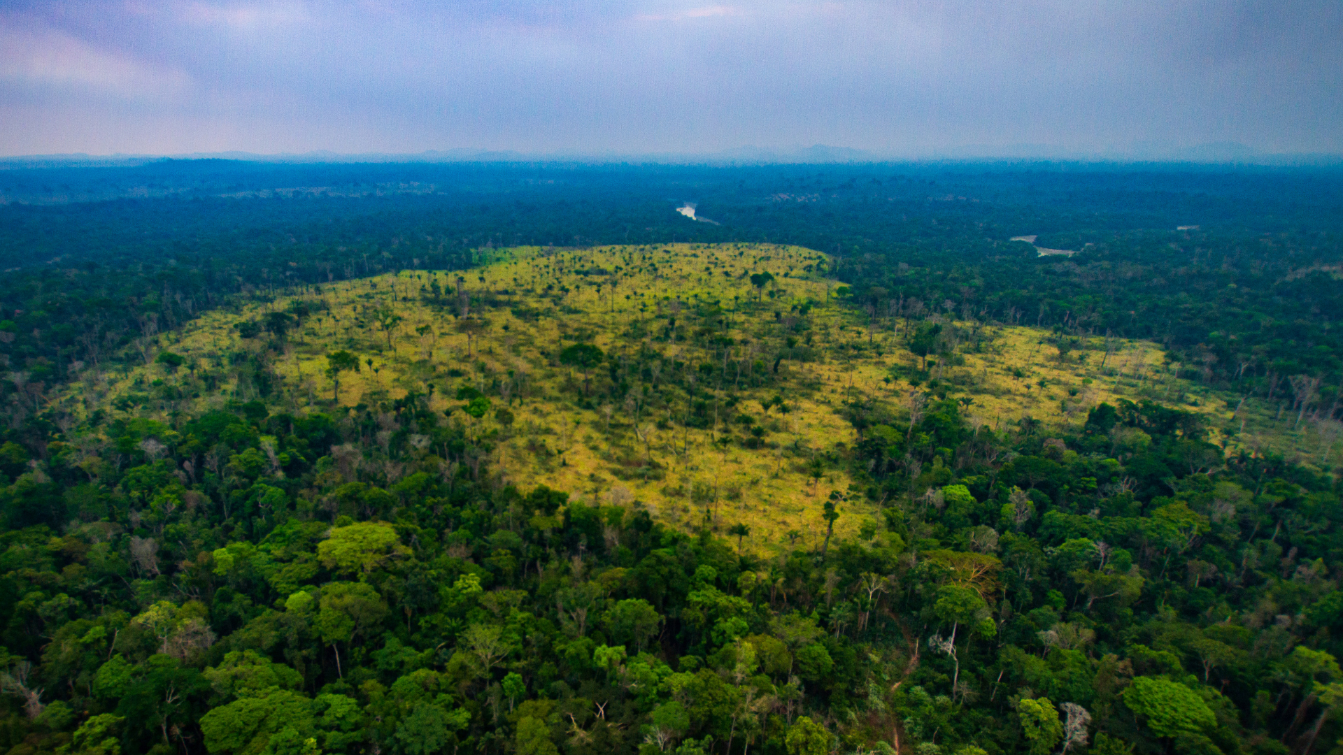 Colonial Conservation