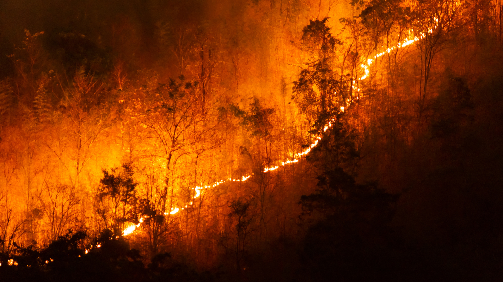 Data Science and Wildfire