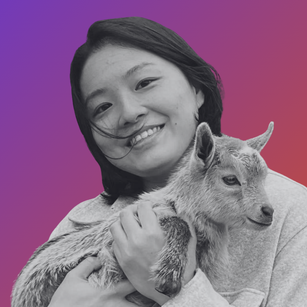 Dr Qingqing Fan