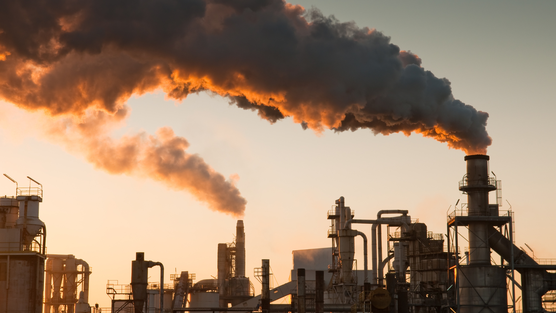 MCF Fossil Fuel