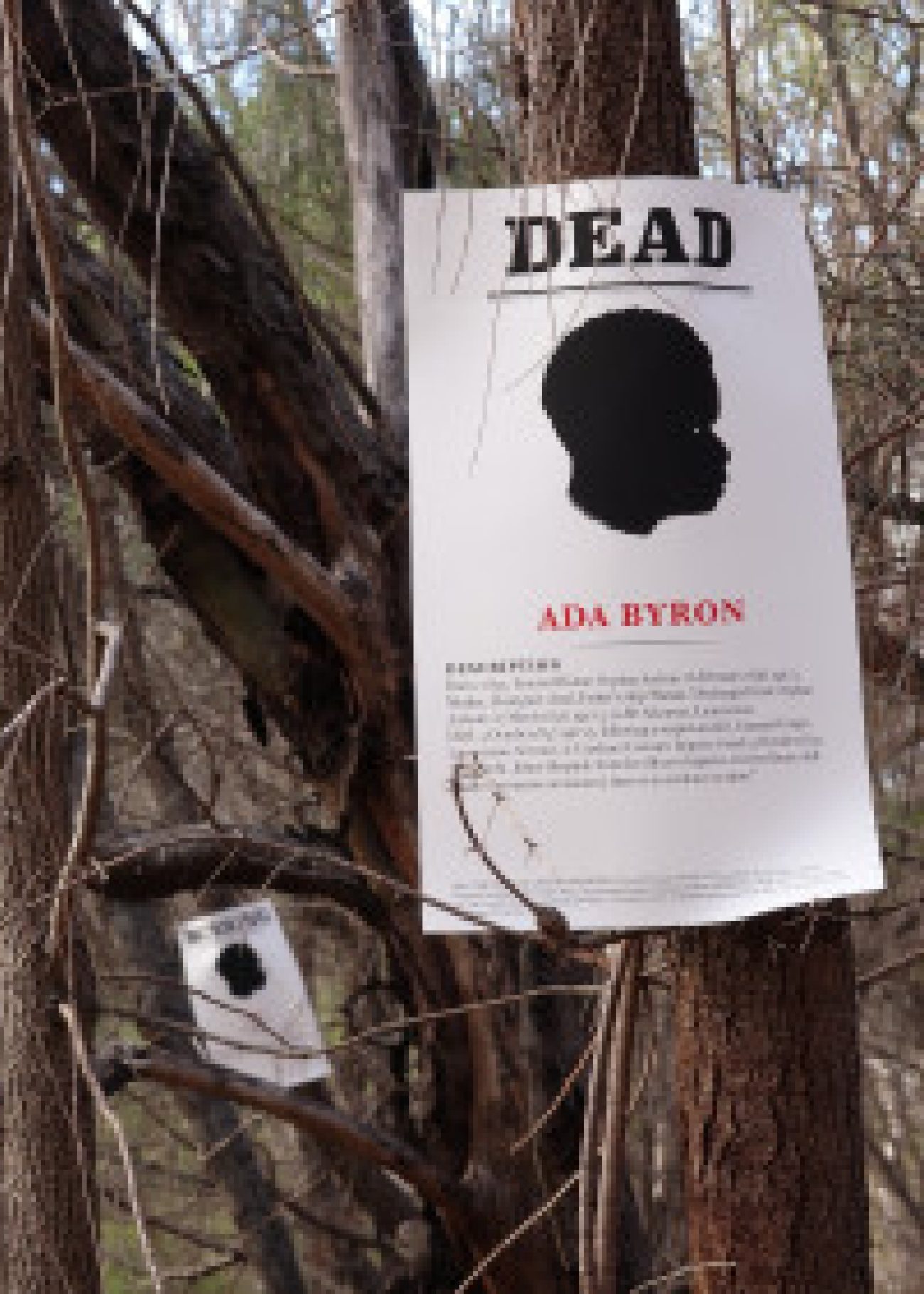 3361 Ada Byron DSC04742