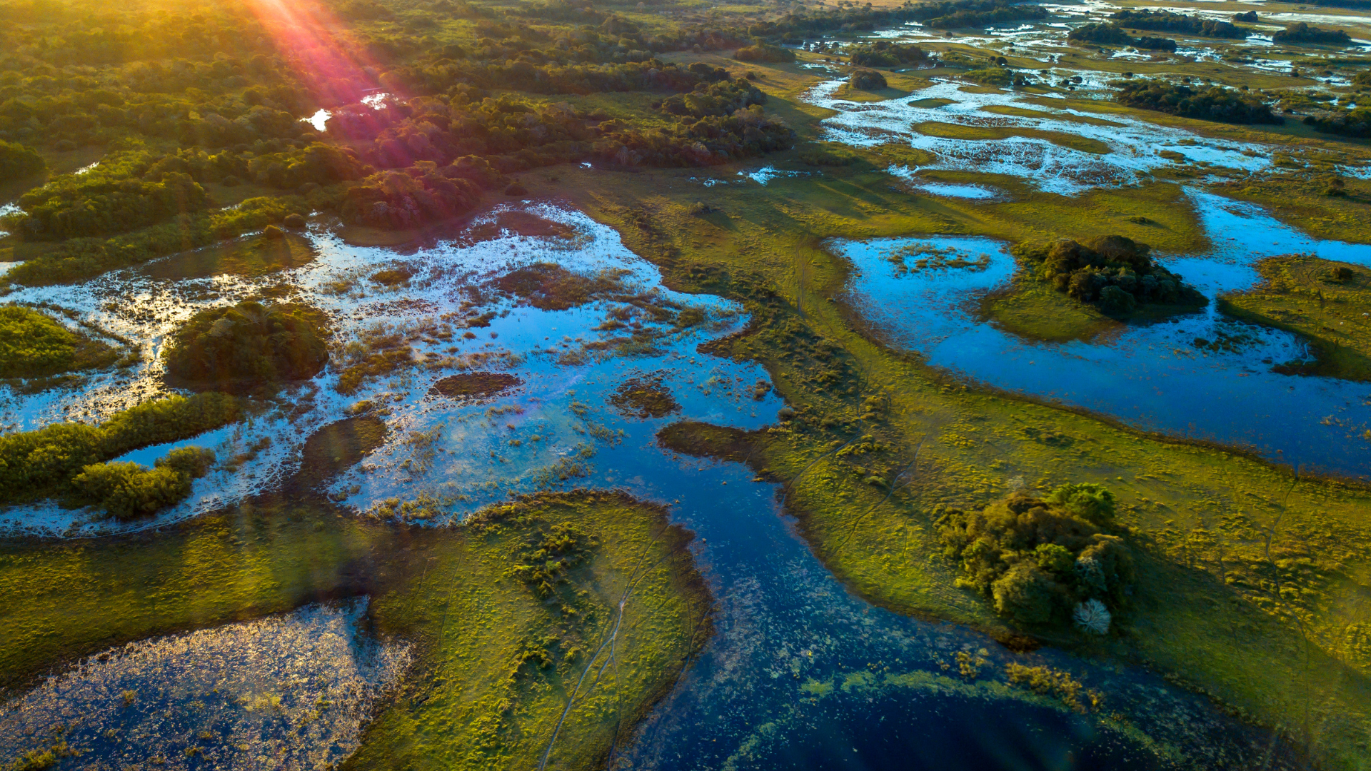 Biodiversity finance