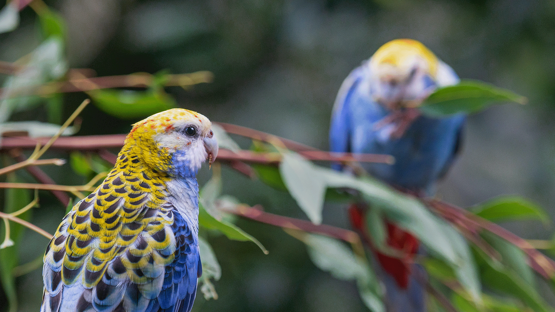 David clode abk w9 Gtn Q0 unsplash