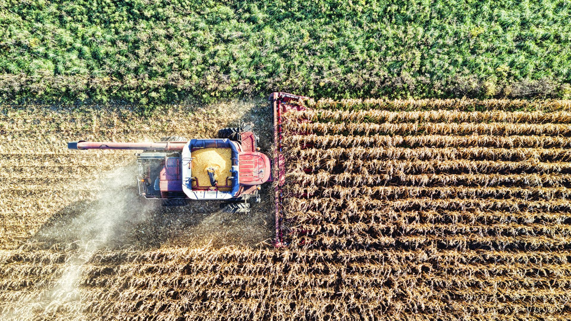 Food security